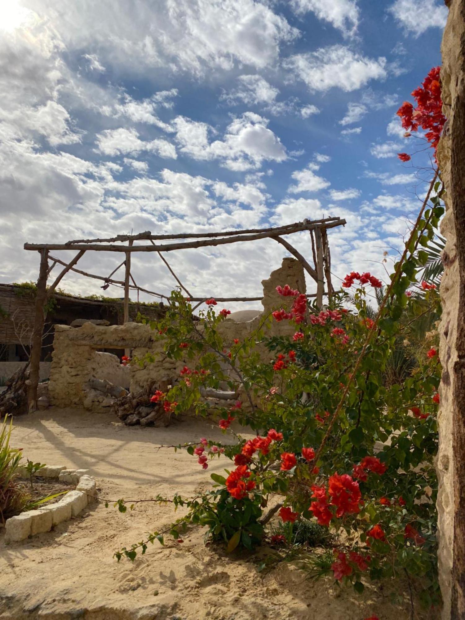 Grand Siwa Villa Siwa Oasis Exteriör bild